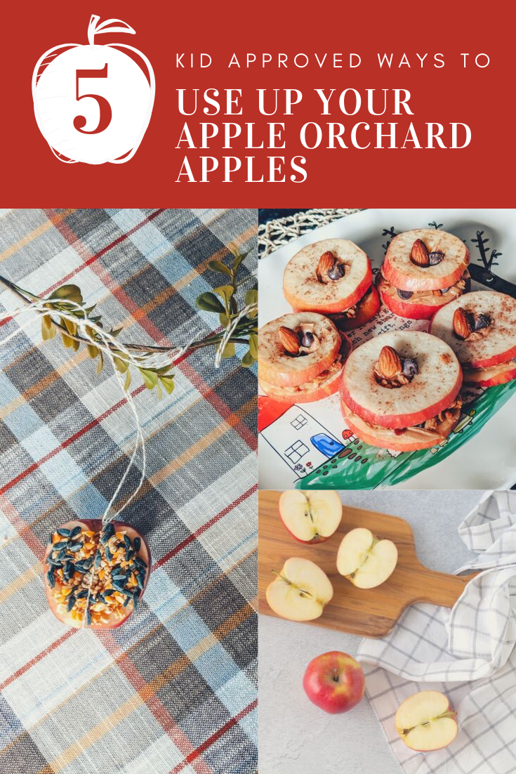 5 Kid Approved Ways to Use Up Your Apple Orchard Apples